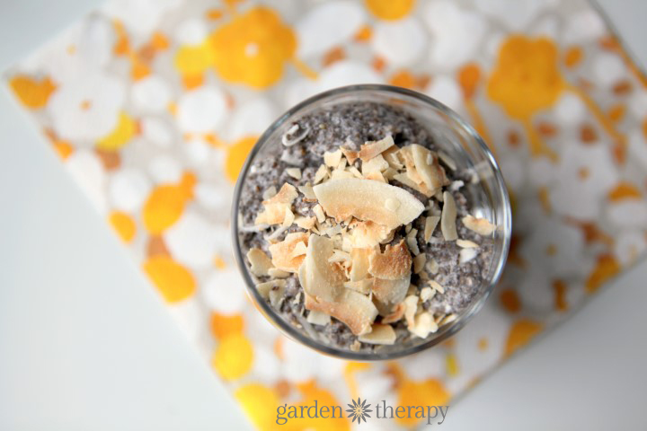 Blackberry Coconut Chia Seed Pudding Recipe (3)