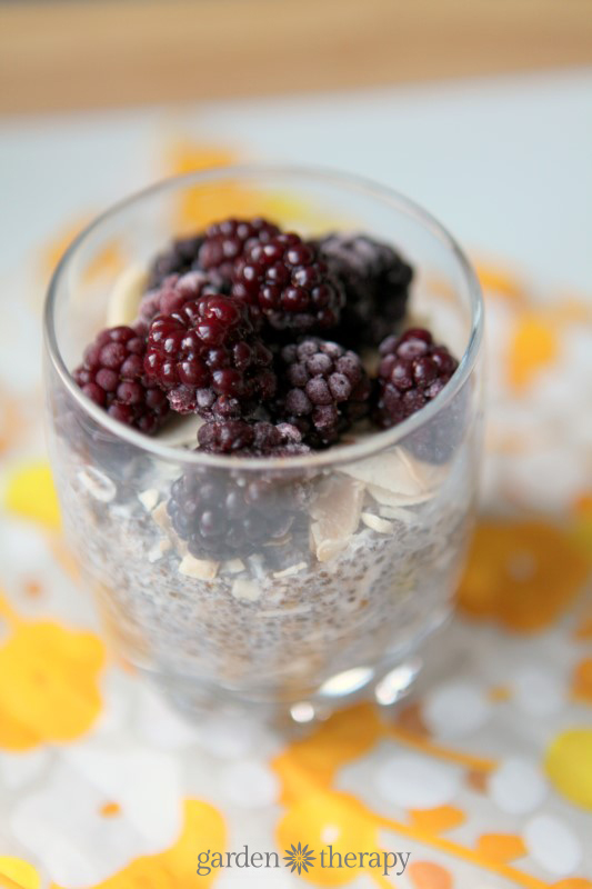 Blackberry Coconut Chia Seed Pudding Recipe