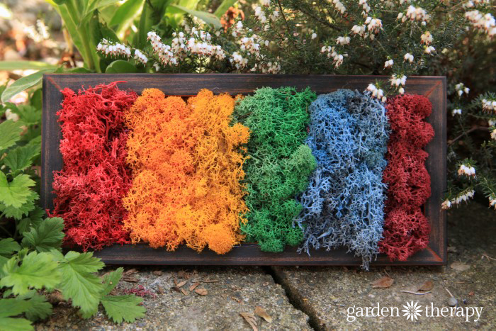 How to Make Moss Art in a rainbow of colors