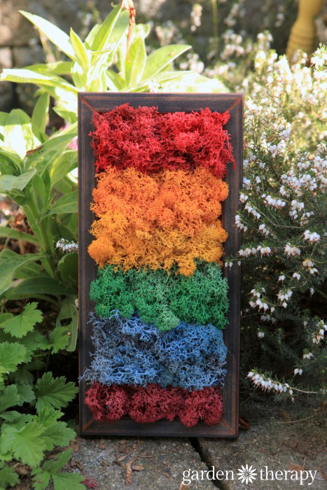 Moss Art can be made in every color of the rainbow. See how here.
