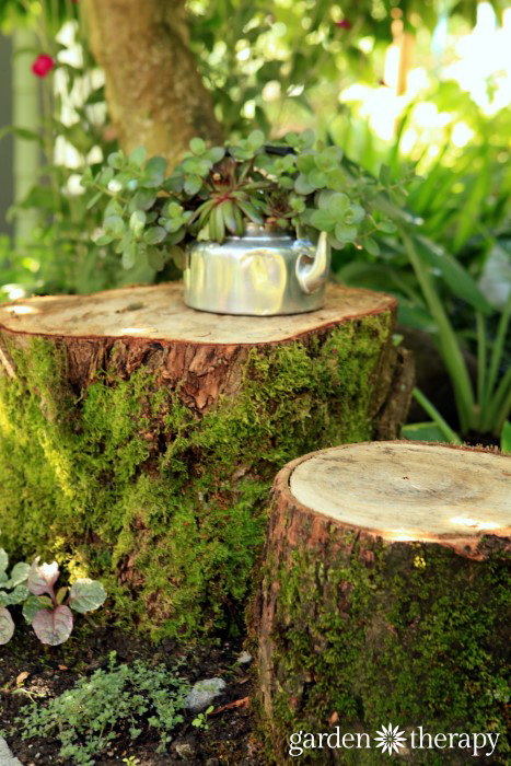 Rustic children's garden table and chairs with a teapot planted with succulents