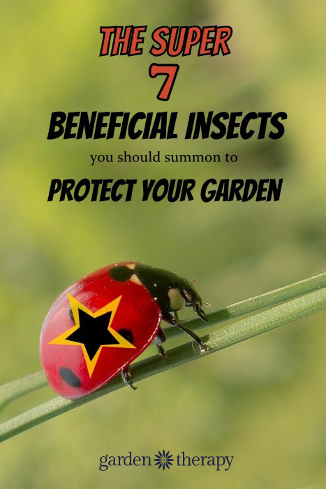The Beneficial Insect Super 7 Important Natural Garden