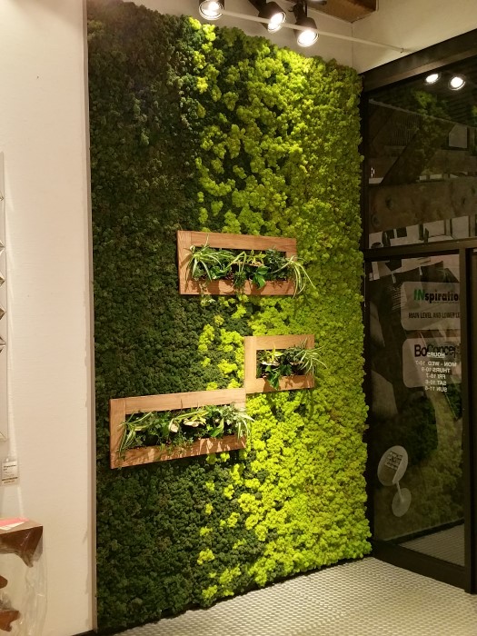 inspiration moss wall living art