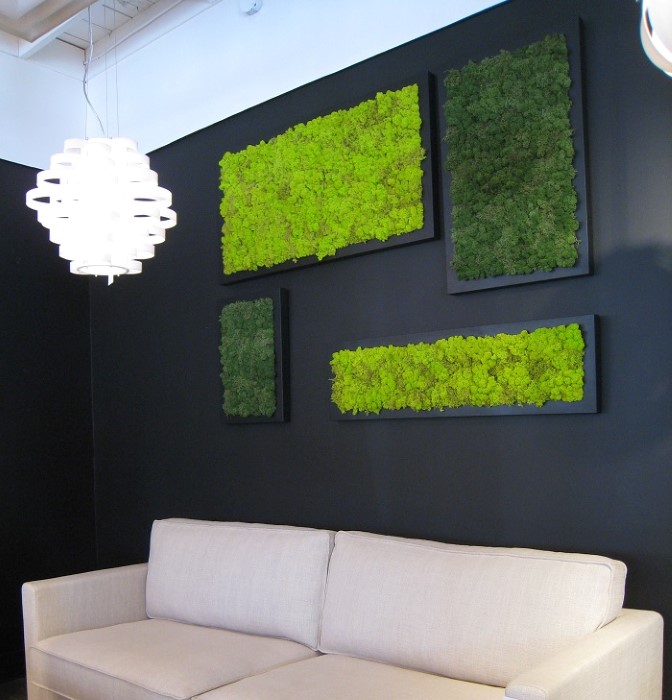 mossart frames and sofa