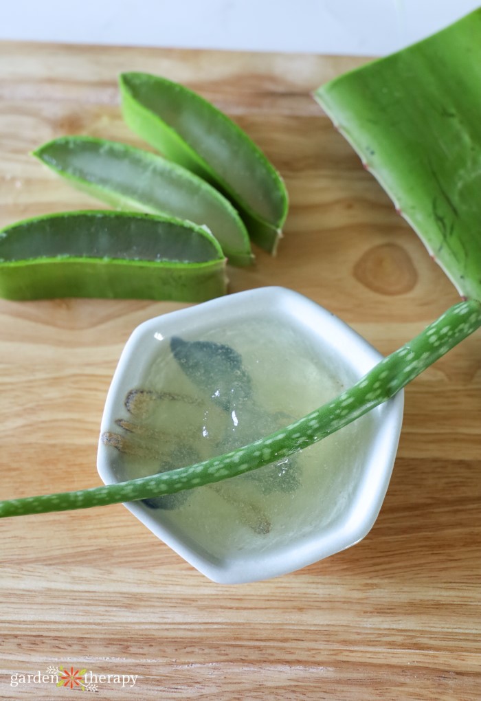 Aloe Gel and Leaves