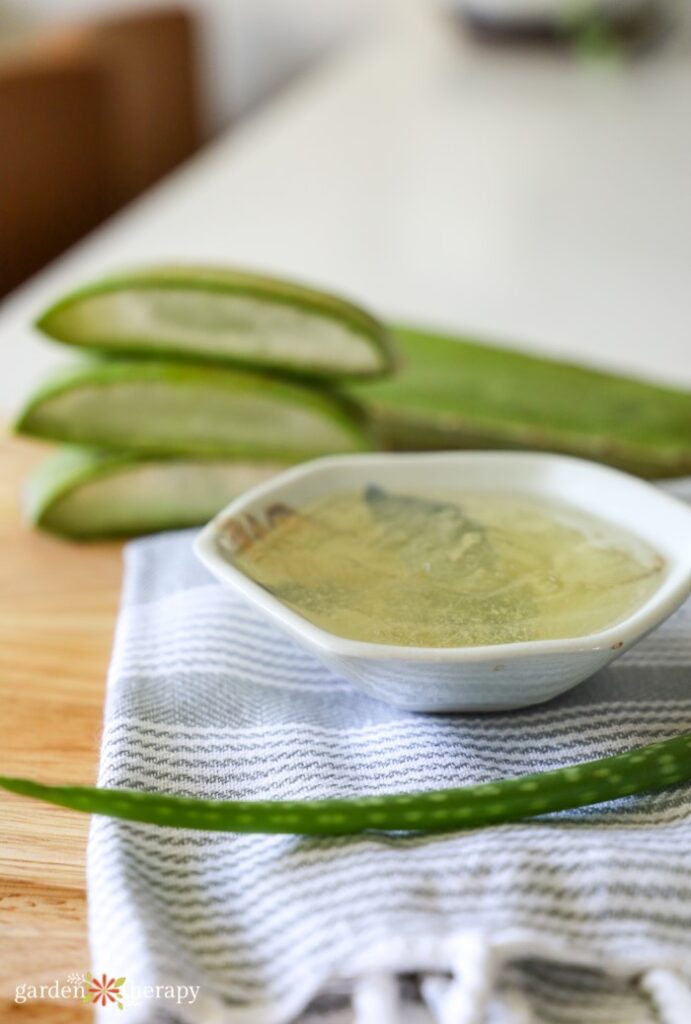 Aloe Vera Gel with Fresh Leaves