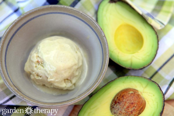 Avocado ice cream