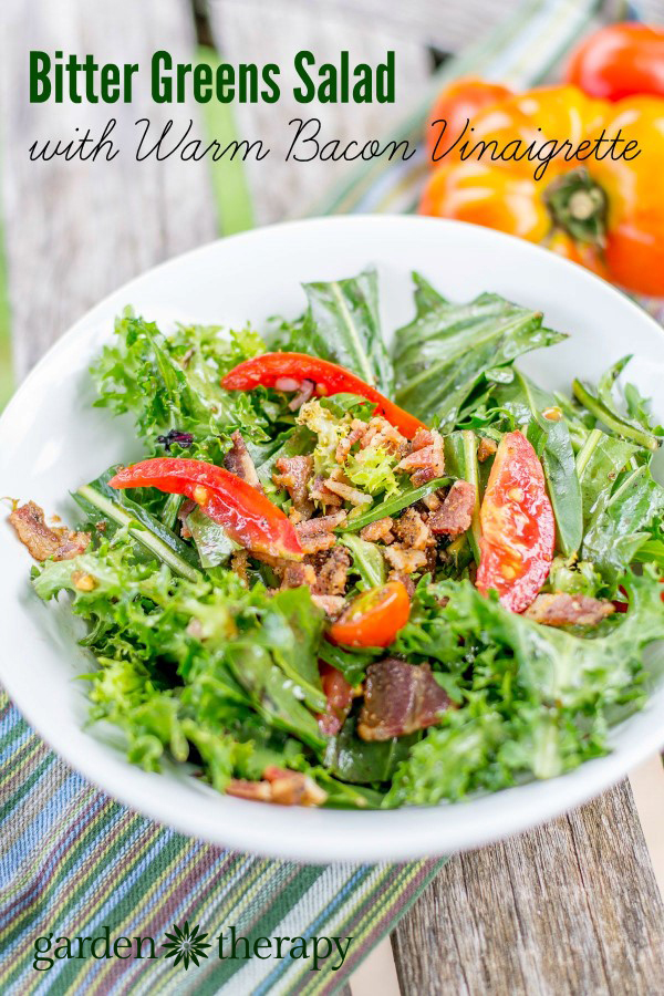 Bitter Greens Salad with Warm Bacon Vinaigrette