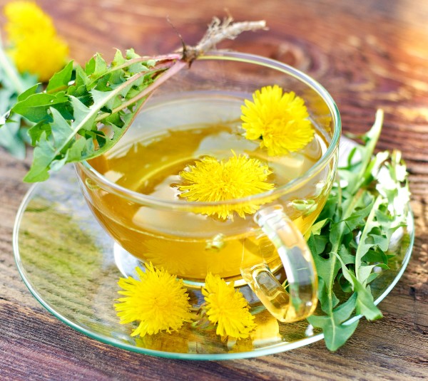 Cup of dandelion tea with fresh greens bundled on top.