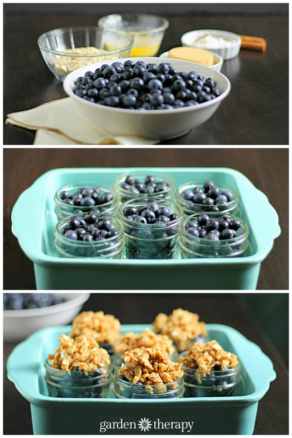 Easy Blueberry Crisp