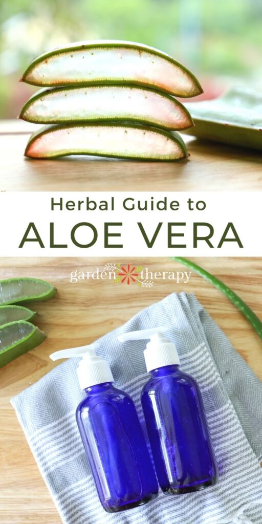 Does Aloe Vera Help With Sunburn?