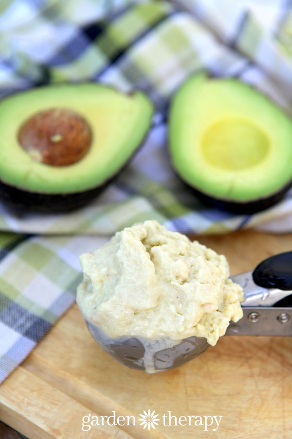 Homemade cocnut avocado ice cream