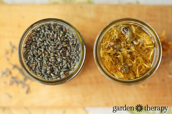 best herbs to infuse in oil for skin