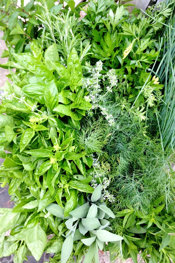 Mixed Herbs as salad greens