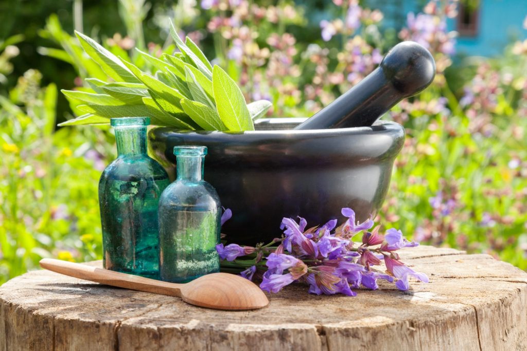 The Top Five Medicinal Herbs to Grow in Your Garden and How They Heal