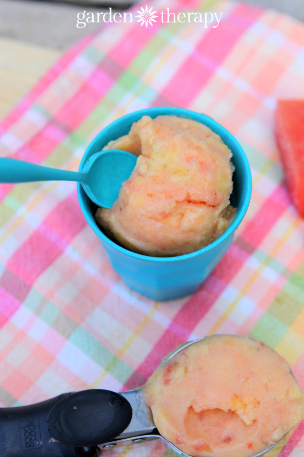 Vegan Fruit Ice Cream like ice cream but it’s made with only frozen