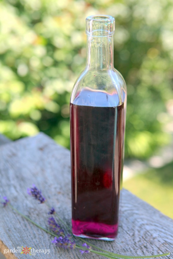 homemade lavender syrup