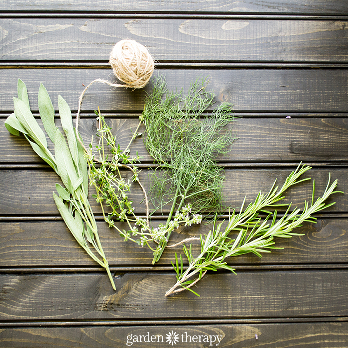 fresh herbs before drying