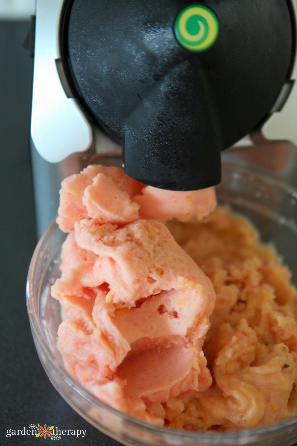 dairy-free frozen dessert