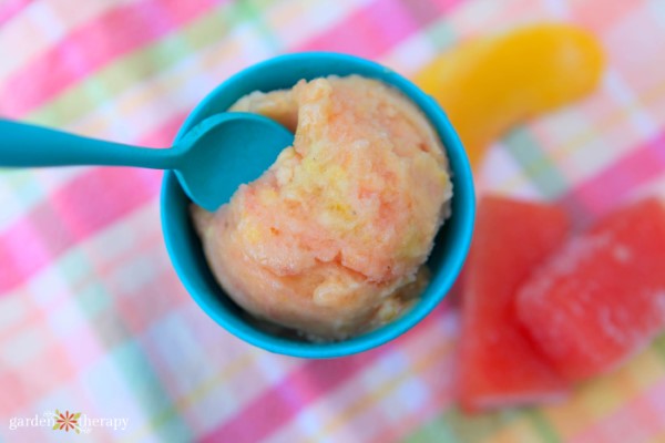 vegan ice cream made from frozen fruit