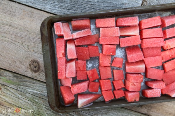 frozen watermelon chunks for making vegan ice cream