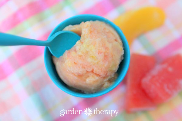 watermelon peach banana healthy vegan ice cream recipe