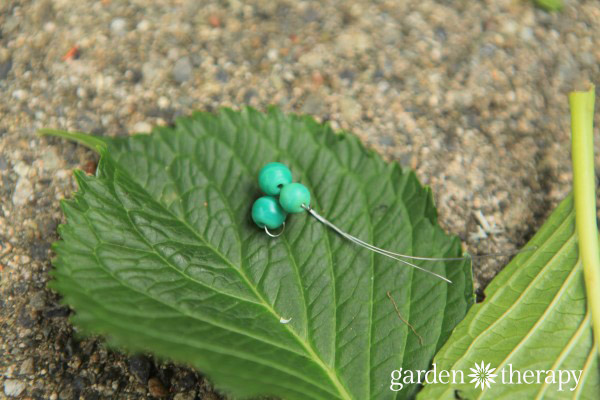 Acorn Cap Nest Necklace 