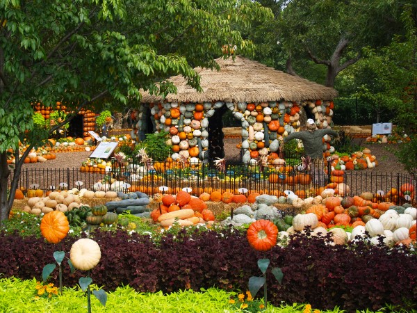 Dallas Arboretum Pumpkin Village 2015 Tour in Photos