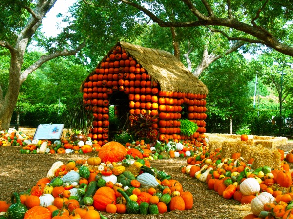 Dallas Arboretum Pumpkin Village Tour