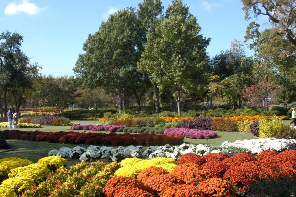 Dallas Arboretum Pumpkin Village 2015 