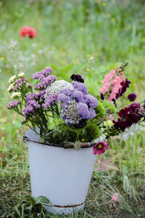 Best cutting flowers for the home garden