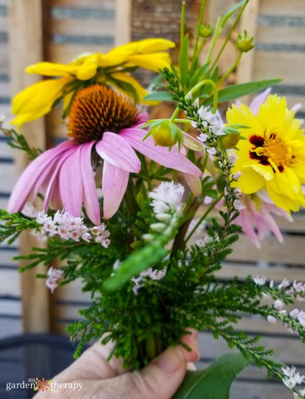 Bouquet Gardens The Best Cutting Flowers + Growing & Harvesting Tips