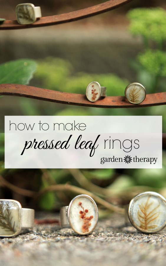 How to Make Pressed Leaf Rings and preserve the garden