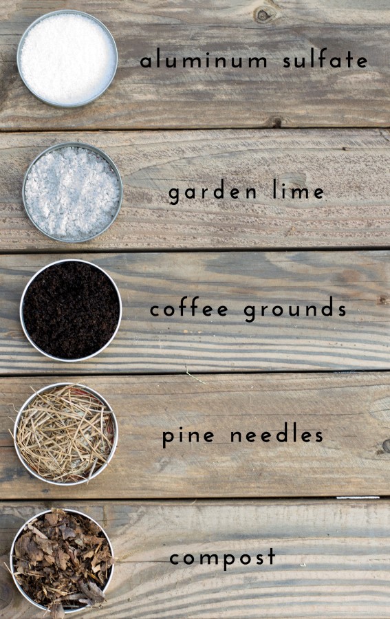 Ingredients for making your soil pH more acidic: aluminum sulfate, garden lime, coffee grounds, pine needles, and compost