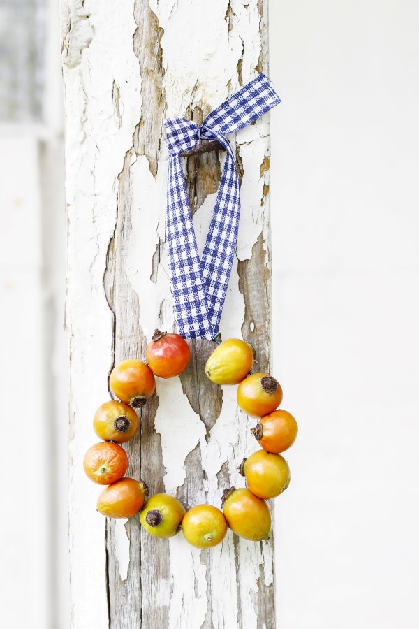 Wreath made of rose hips