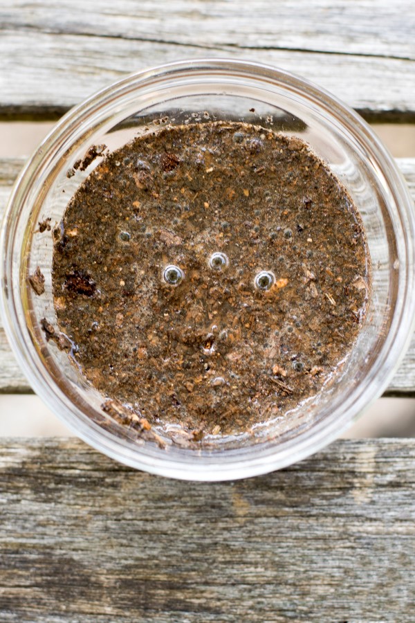 DIY soil pH test: adding vinegar 