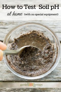 How to pH Soil Test at Home (No Special Equipment Needed!)