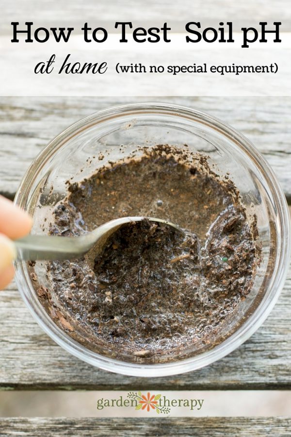 How to pH Soil Test at Home (Easy No Special Equipment Needed!)