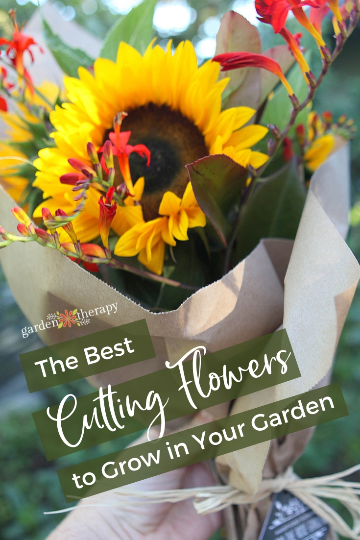 Bouquet Gardens The Best Cutting Flowers + Growing & Harvesting Tips