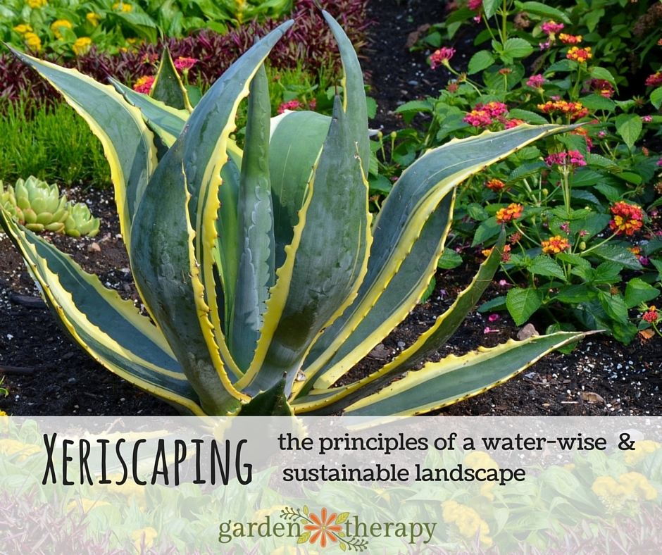 Xeriscaping Garden Design