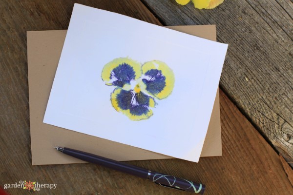 viola hammer flower print card