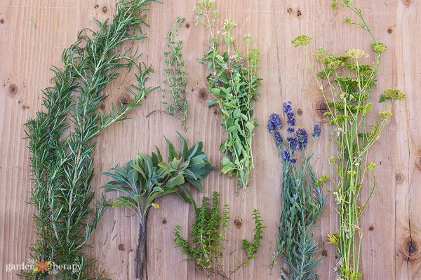 fresh-cut herbs