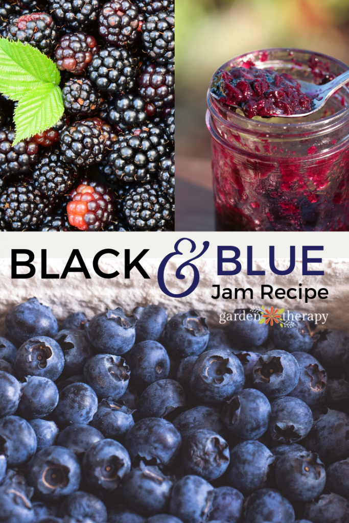 Black and Blue Berry Jam Recipe