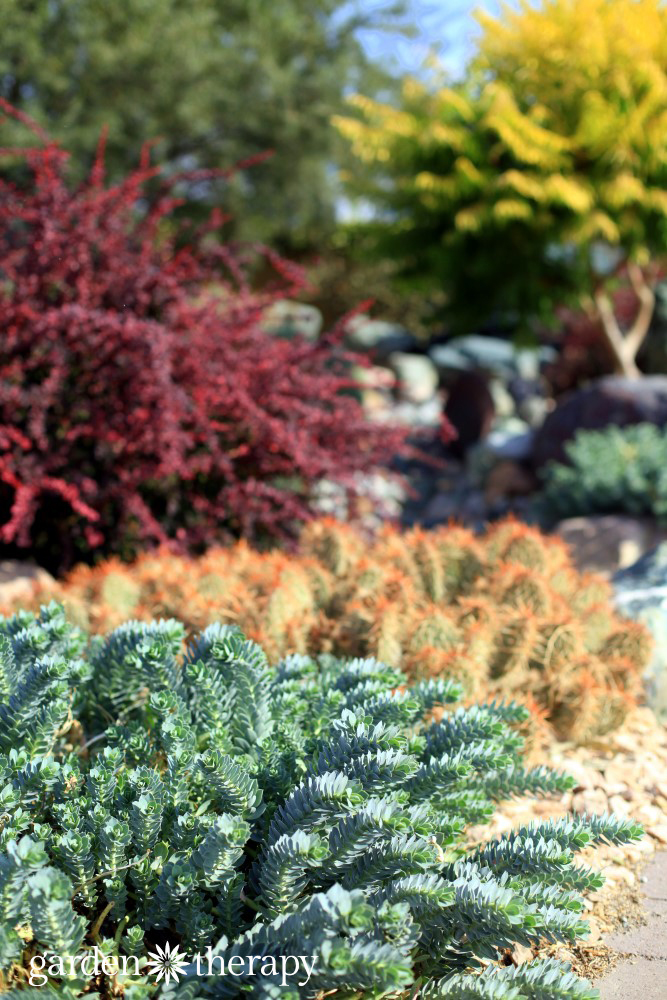 drought tolerant landscape design