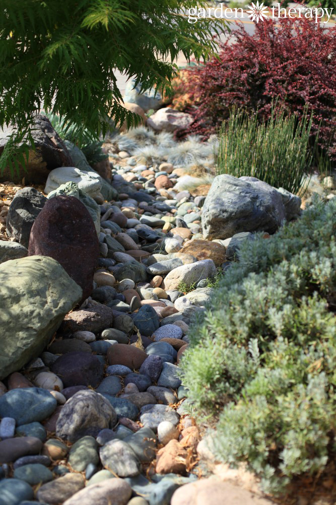 Dry river bed as part of drought tolerant landscape design