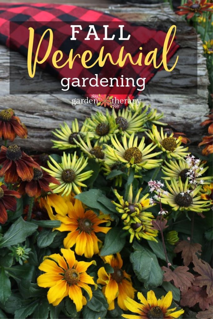 Fall Perennial Gardening Planning and Planting for Budget-Friendly Design