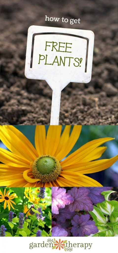 How to get free plants!