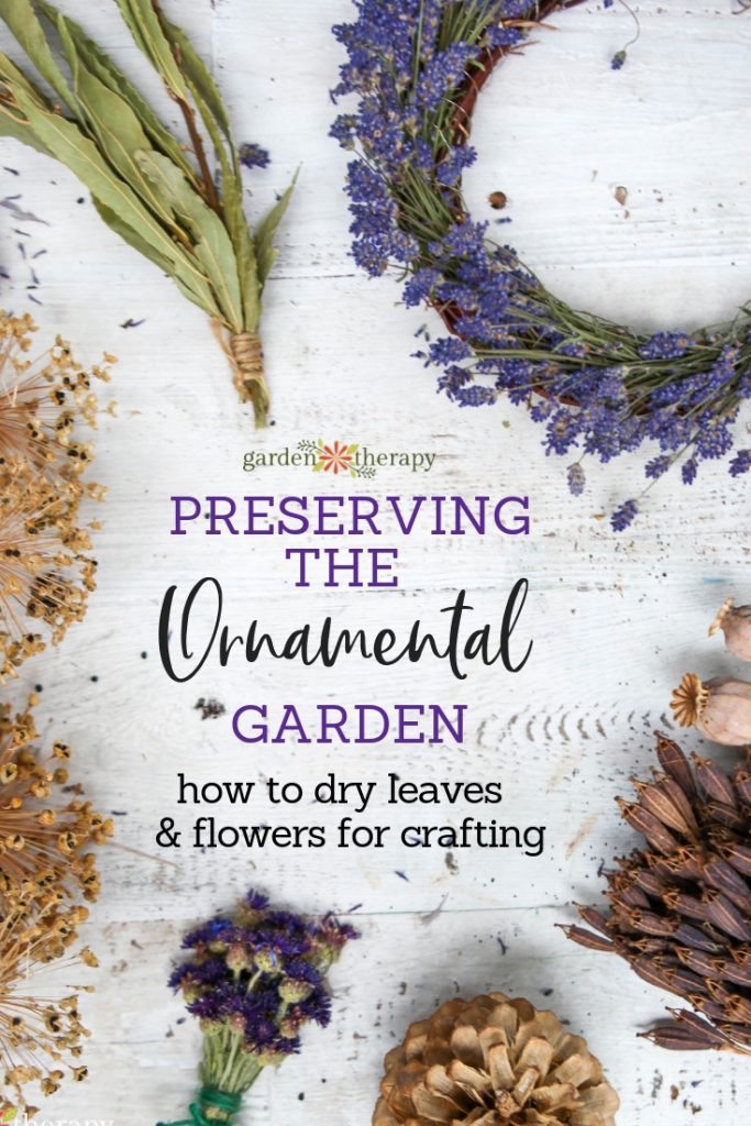 Preserving the Harvest: Dried Flowers