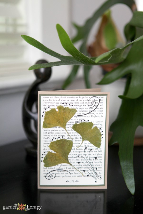 Greeting card with pressed leaves from the book Garden Made