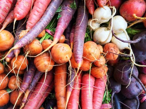 root vegetables grown by direct sowing